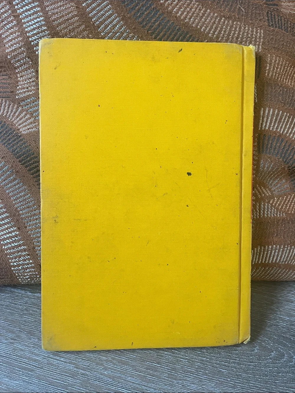 The Pointed Brush Yellow Hardcover Book by Patricia Miles Martin
